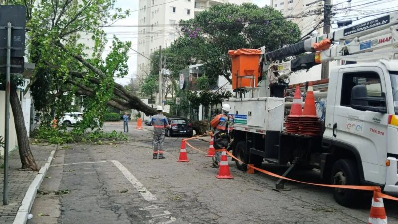 Restaurante tem prejuízos com falta de energia em São Paulo