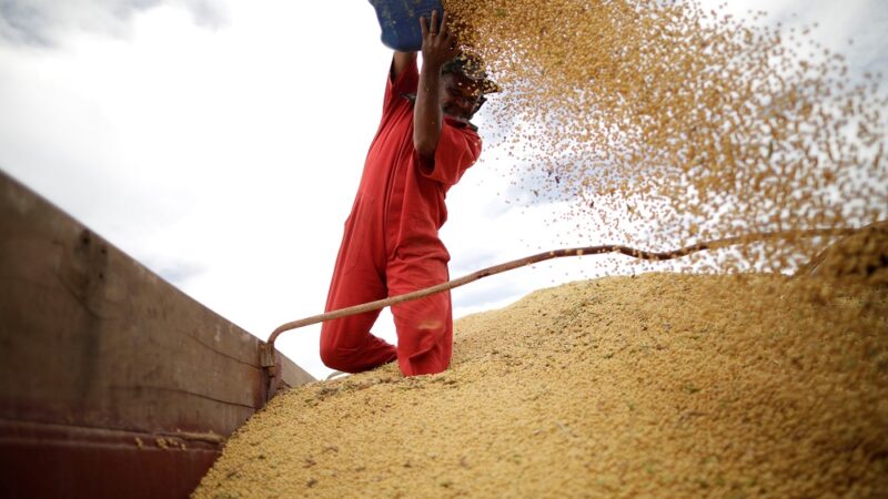 SLC Agrícola compra participação em controlada indireta por R$ 525 milhões