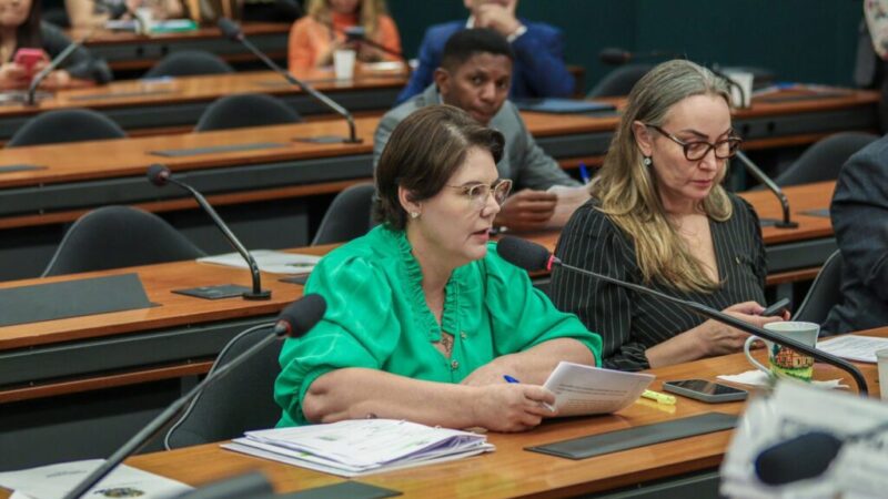Projeto de relatoria da deputada Coronel Fernanda é aprovado na Comissão da Agricultura – Jornal Advogado – Em Mato Grosso