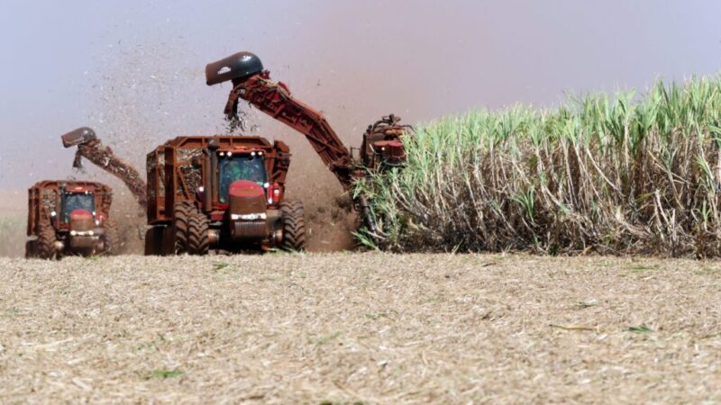 Produção de etanol do Brasil cresce com impulso do milho após queda na safra de cana – Jornal Advogado – Em Mato Grosso