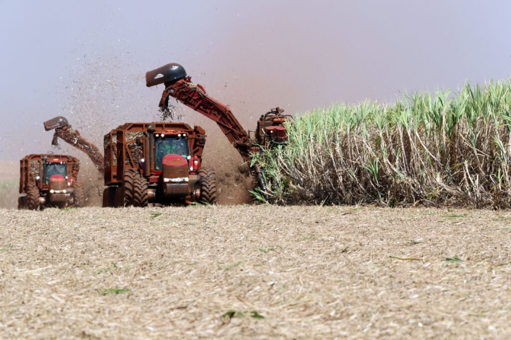 Produção de etanol do Brasil cresce com impulso do milho após queda na safra de cana – Jornal Advogado – Em Mato Grosso