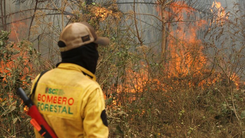 Bolívia venderá US$ 5 bi em créditos de carbono para conter desmatamento