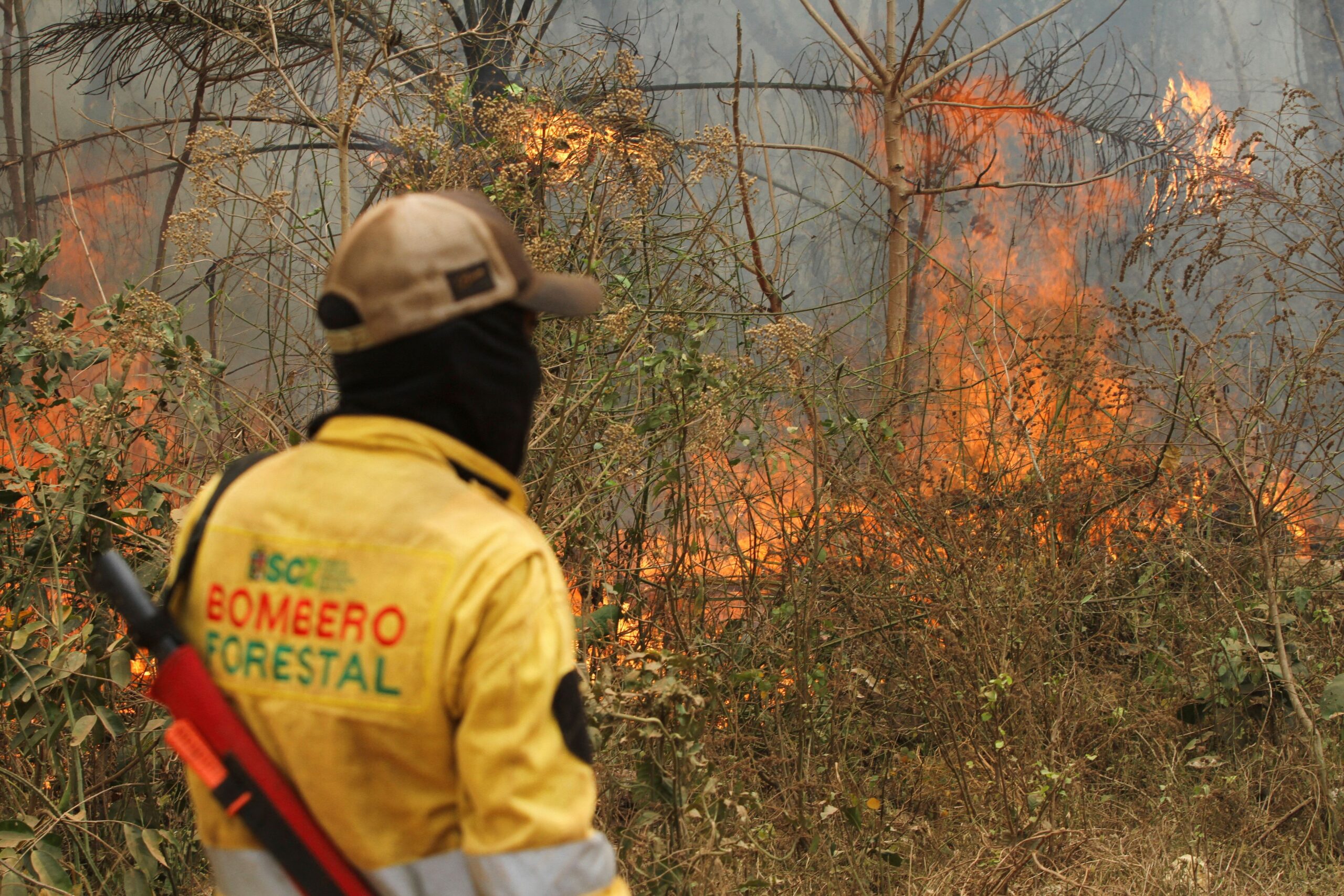 Bolívia venderá US$ 5 bi em créditos de carbono para conter desmatamento