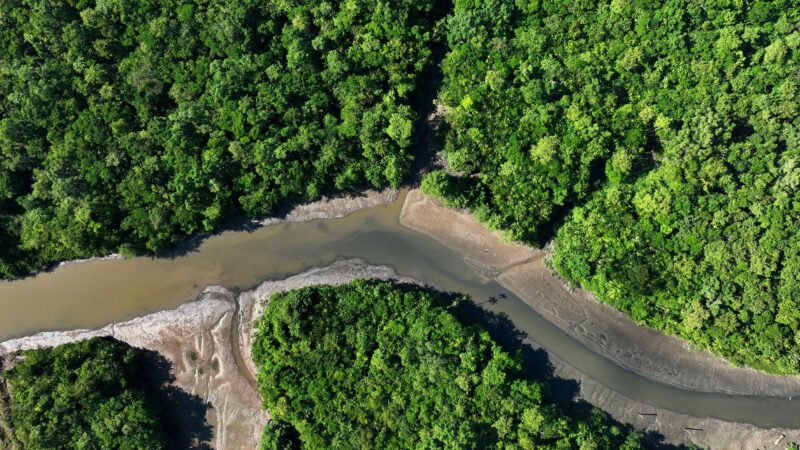 Estado do Tocantins oferecerá R$ 2,5 bilhões em créditos de carbono