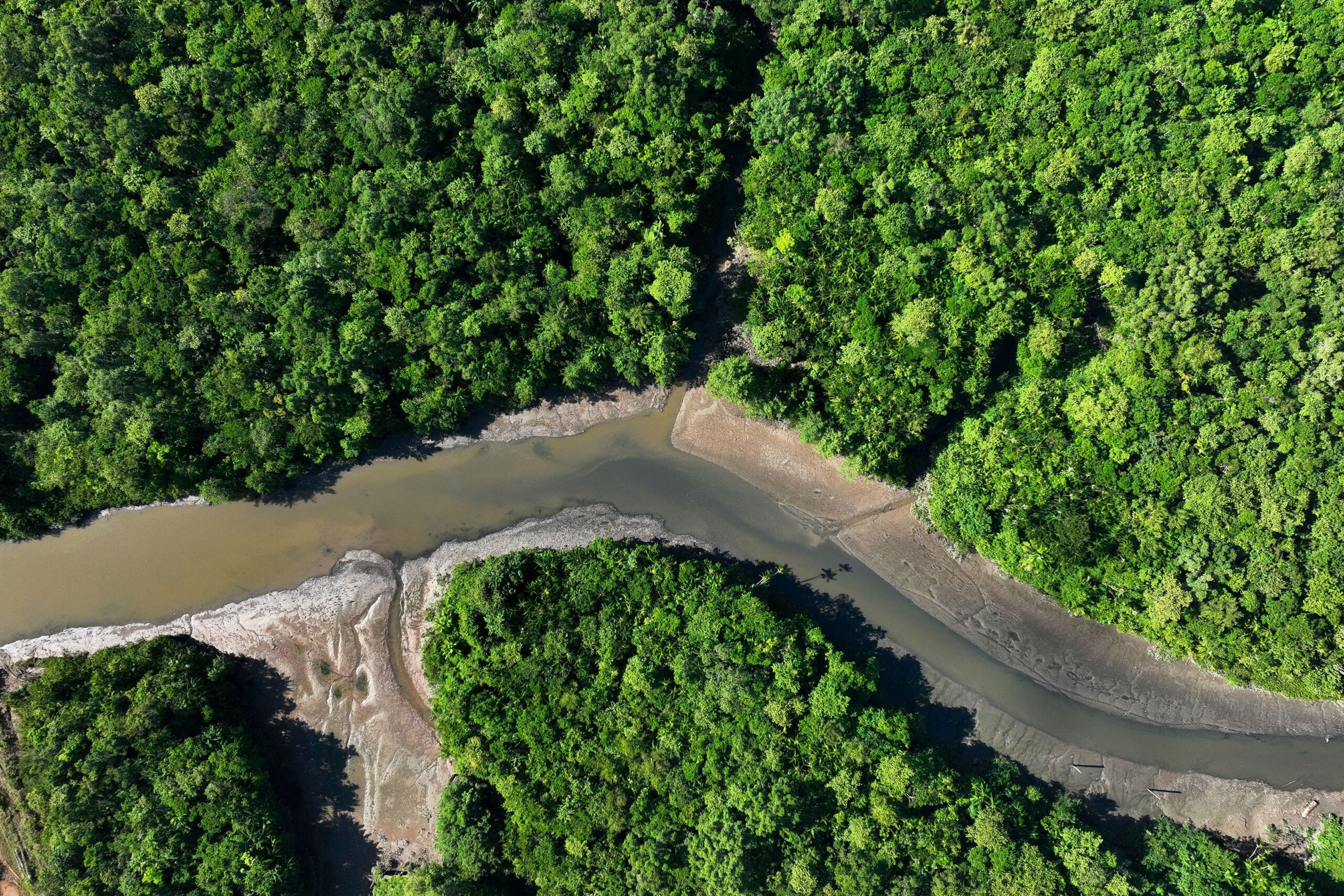 Estado do Tocantins oferecerá R$ 2,5 bilhões em créditos de carbono