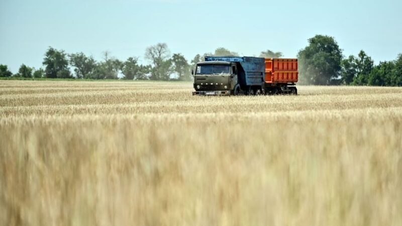 Governo assina pacto para promover aquicultura em reservatórios da União