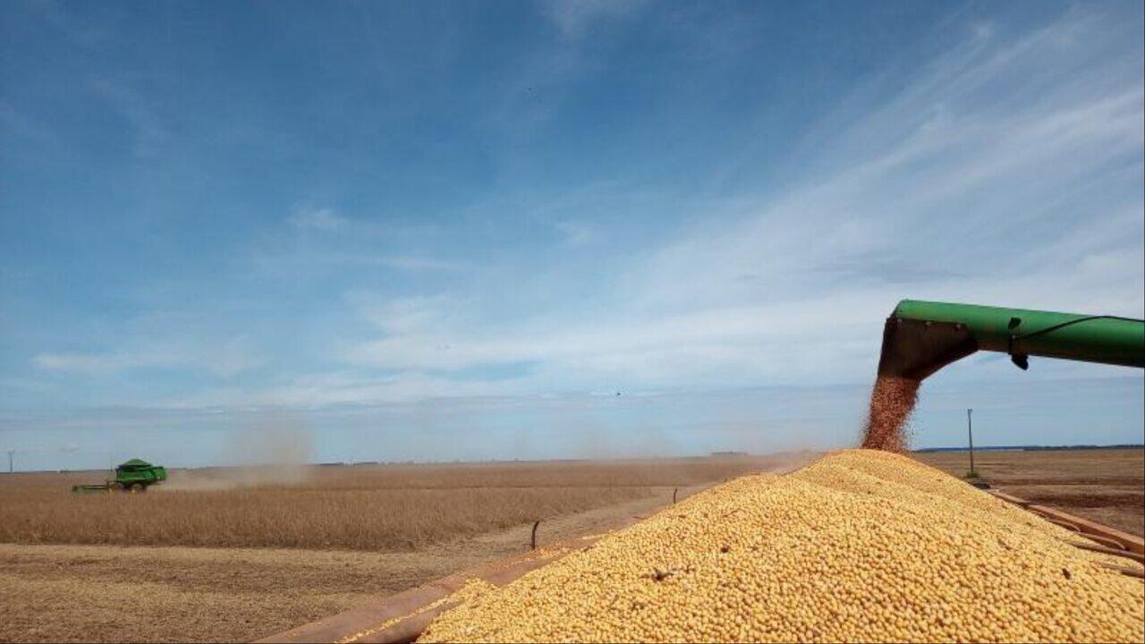 IBGE: Produção de grãos cresce 24,1% em Mato Grosso do Sul em outubro