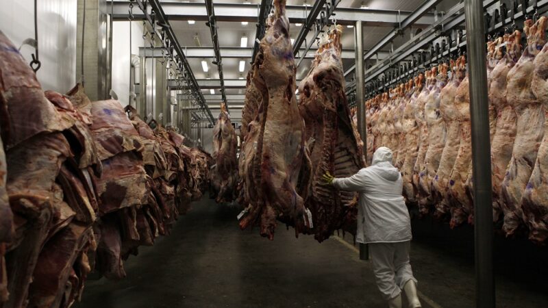 Marfrig tem lucro líquido de R$ 79,1 milhões no 3º trimestre e reverte prejuízo