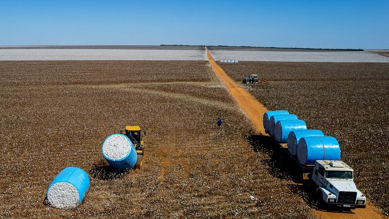 PIB de Mato Grosso registra a maior variação percentual do país e cresce mais de 1.230% em 20 anos – Jornal Advogado – Em Mato Grosso