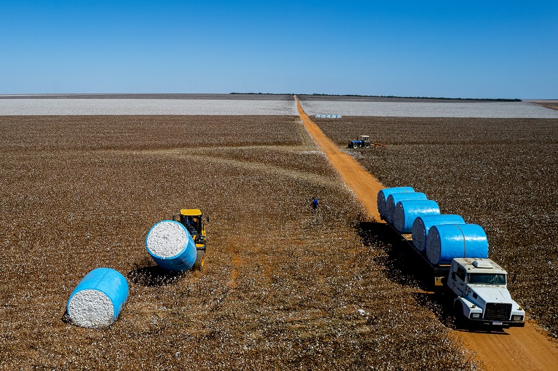 PIB de Mato Grosso registra a maior variação percentual do país e cresce mais de 1.230% em 20 anos – Jornal Advogado – Em Mato Grosso