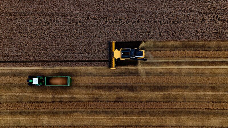 Plantio de soja na Argentina continuará intenso após chuvas, diz bolsa