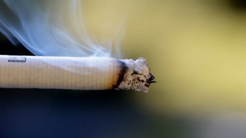 STF suspende julgamento sobre proibição de cigarros com aditivos – Jornal Advogado – Em Mato Grosso
