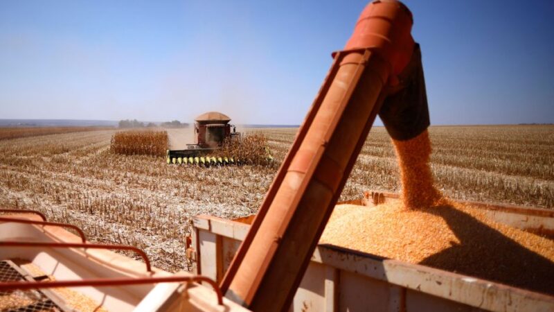 CNA estima aumento de 5% do PIB do agronegócio em 2025