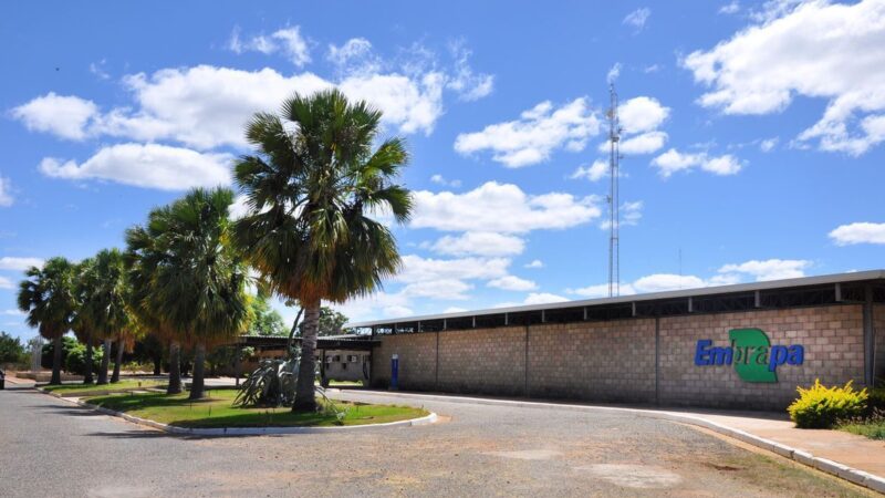 Concurso da Embrapa tem inscrições prorrogadas; salários chegam a R$ 12 mil