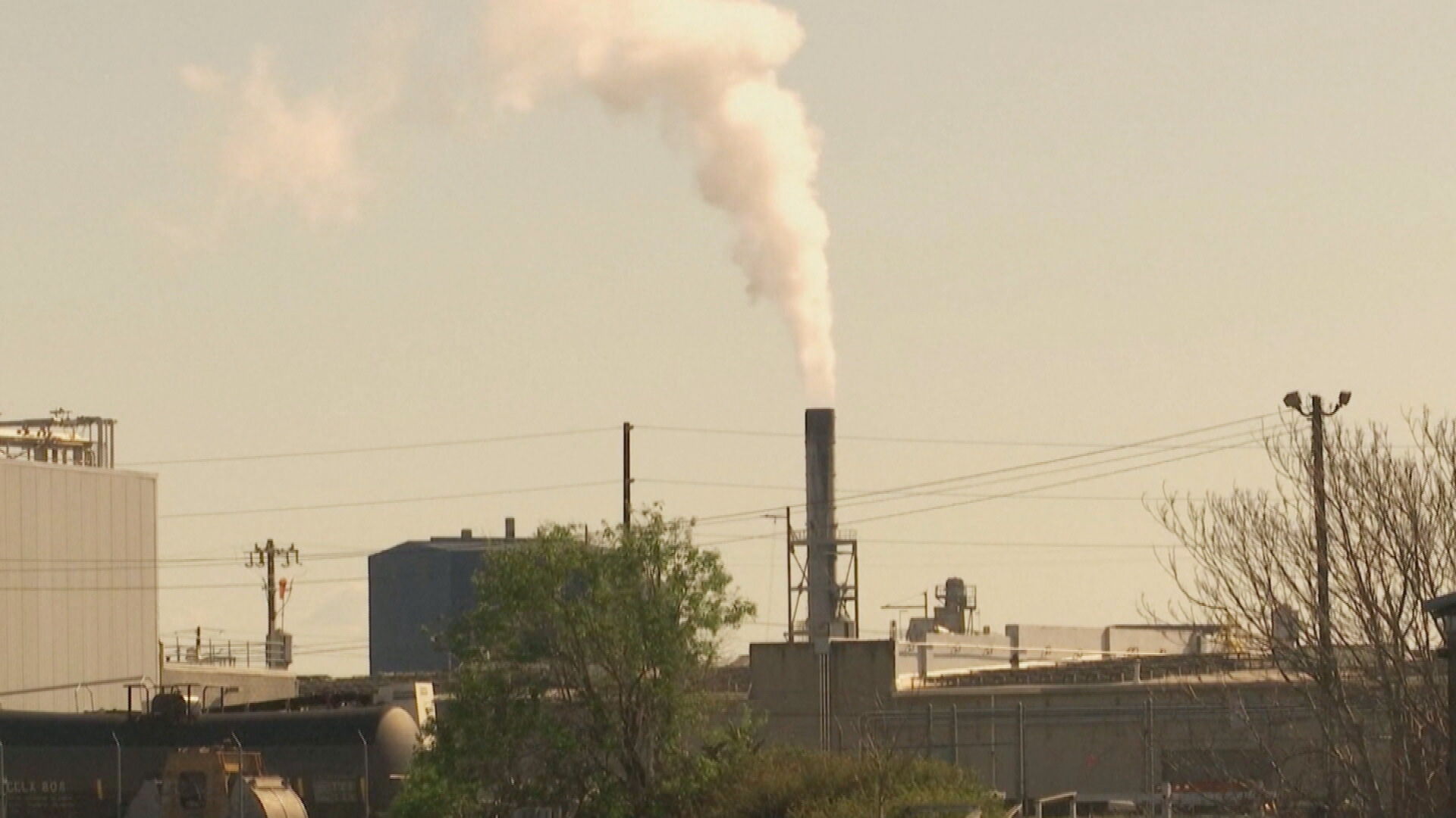Governo sanciona lei que regulamenta mercado de carbono