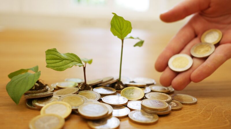 Agenda ESG: como atrair recursos para projetos de impacto em PMEs