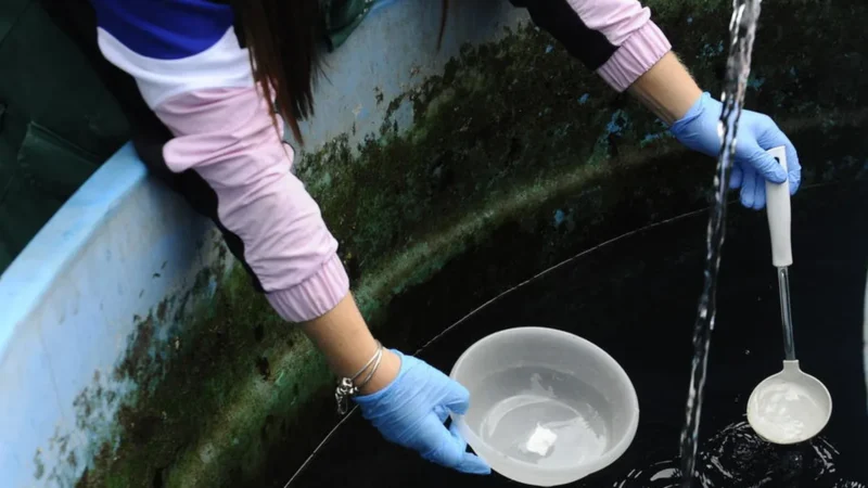 Casos de chikungunya aumentam em MT e SES alerta para prevenção e combate ao mosquito Aedes aegypti