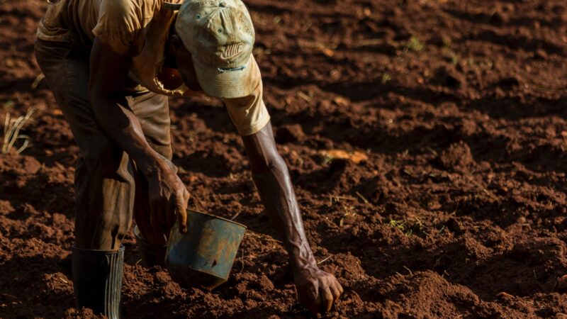 Exportações do agronegócio caem 1,3% e alcançam US$ 164,4 bi em 2024