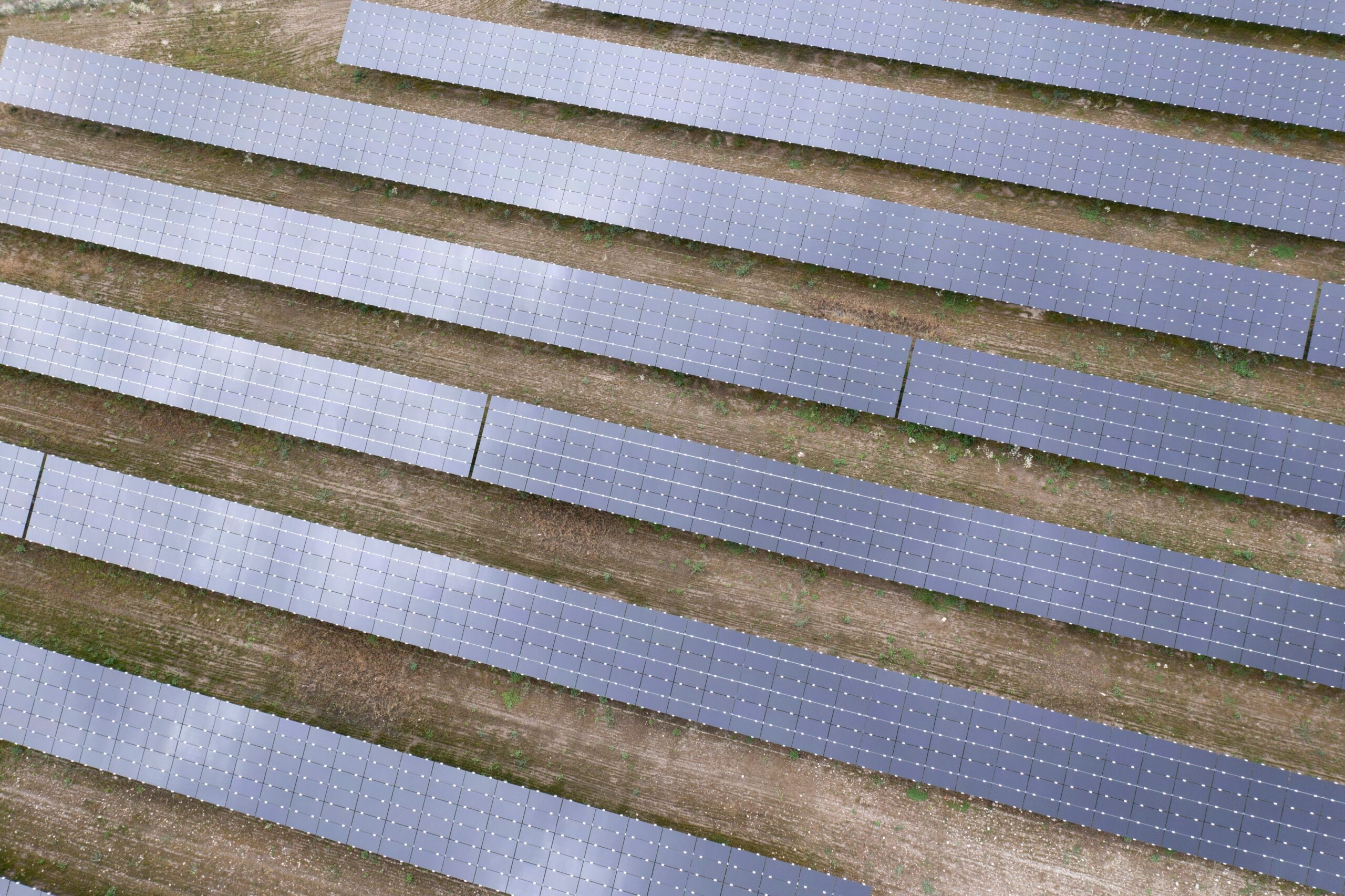 Fusões e aquisições em energia solar crescem 76% em 2024, aponta Greener