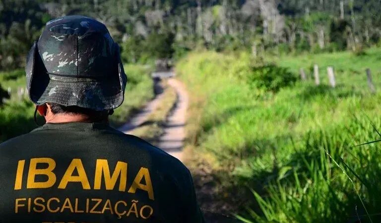 Ibama publica edital de concurso com 460 vagas e salário de até R$ 9,9 mil