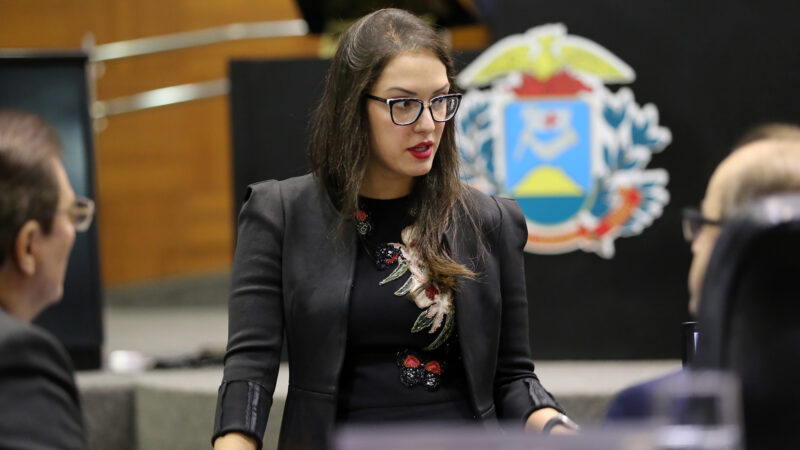 Janaina minimiza desempenho do MDB nas eleições municipais e mantém nome para disputar o Senado