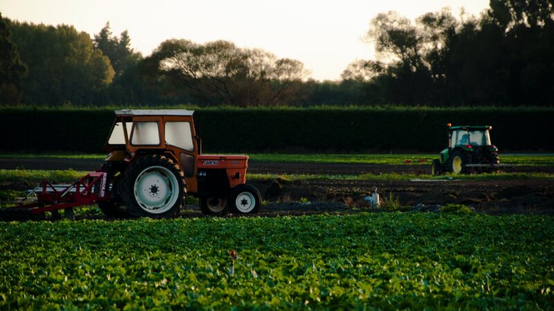 Ministério: valor bruto de produção agropecuária deve crescer 11,5% em 2025