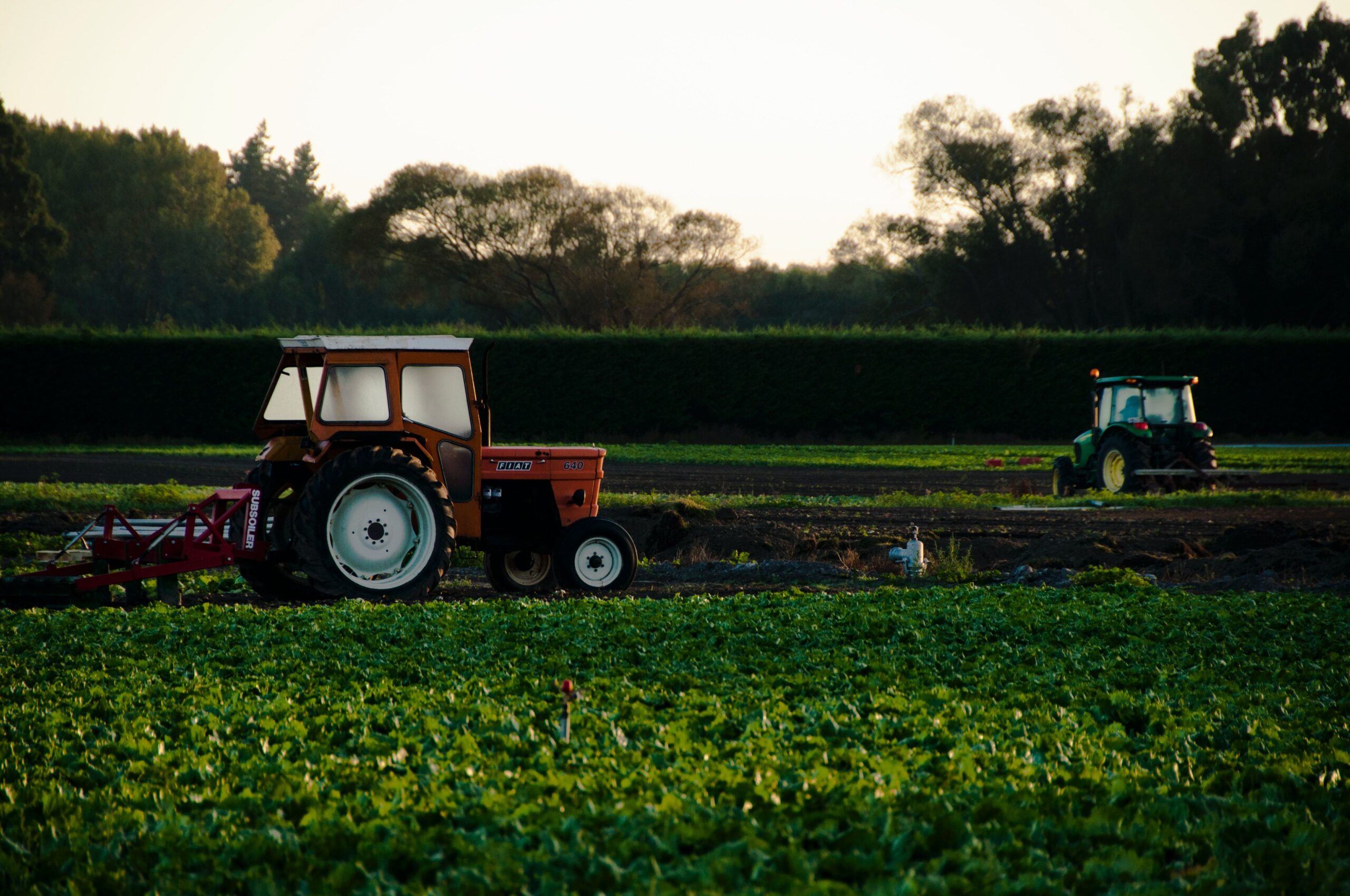 Ministério: valor bruto de produção agropecuária deve crescer 11,5% em 2025