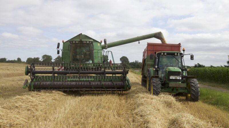 Prejuízo da AgroGalaxy cresce 1.679% no 3º tri de 2024, para R$ 1,58 bilhão