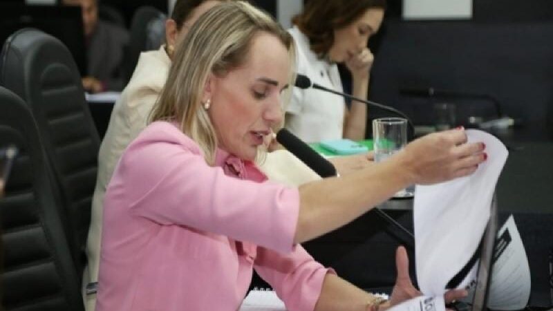 Vereadora defende ‘pacotão de CPIs’ e afirma que novatos querem mostrar serviço