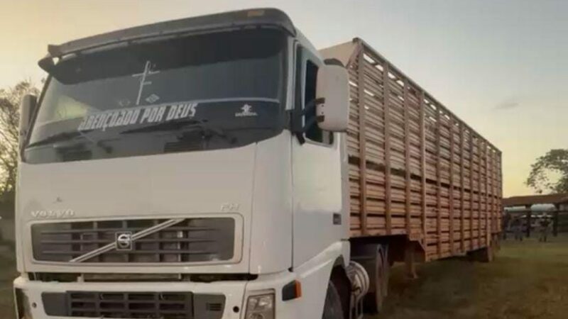 Criminosos são presos após roubo de 100 cabeças de gado, transferência de PIX em fazenda no Distrito da Guia