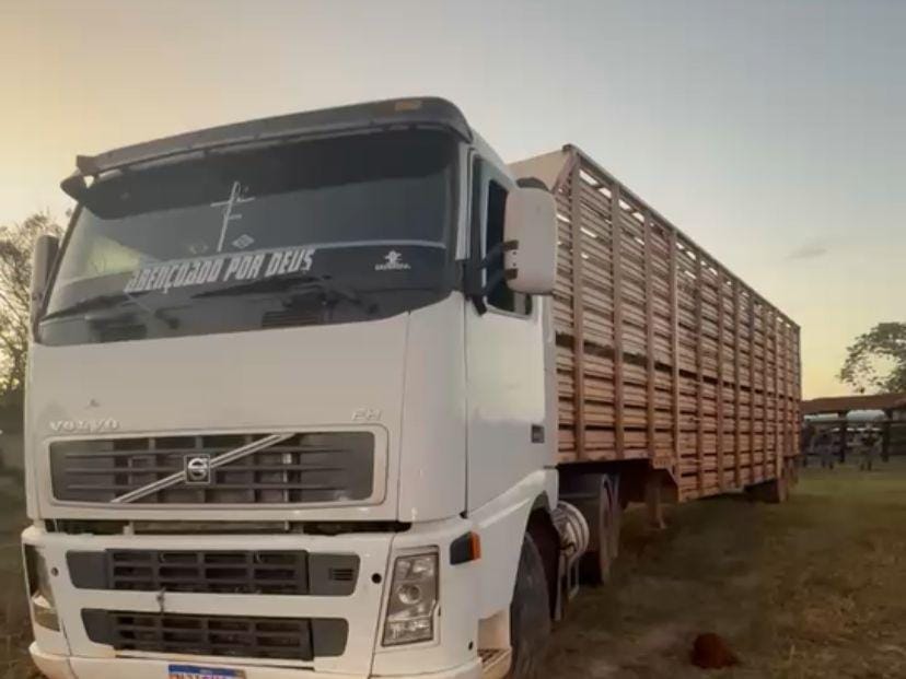 Criminosos são presos após roubo de 100 cabeças de gado, transferência de PIX em fazenda no Distrito da Guia