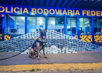 400 kg de cocaína e 100 munições foram encontrados pela PRF escondidos em caminhão na BR 364