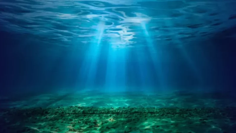 Tratado do Alto-Mar entra em vigor com foco no Atlântico Sul