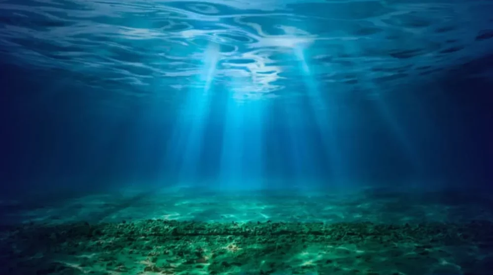 Tratado do Alto-Mar entra em vigor com foco no Atlântico Sul