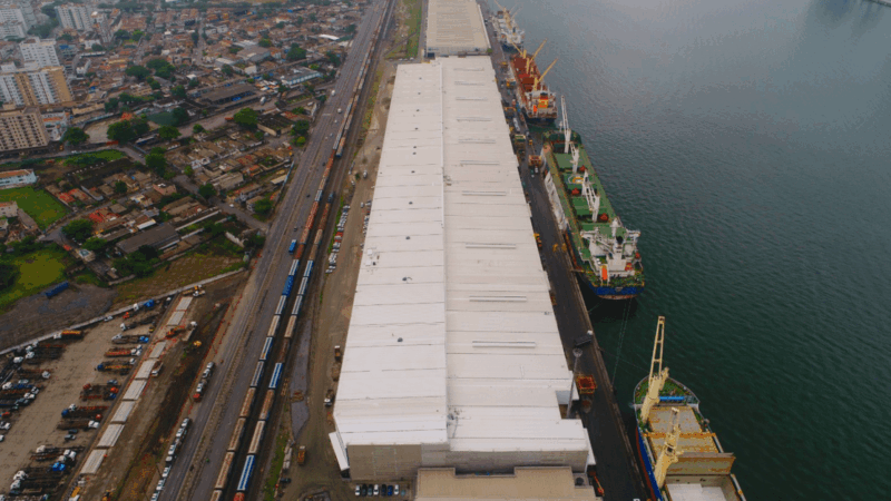 Entenda a disputa entre J&F e Paper Excellence pela Eldorado Celulose