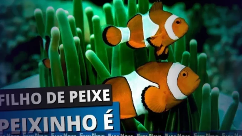 Será que a ciência concorda com eles?