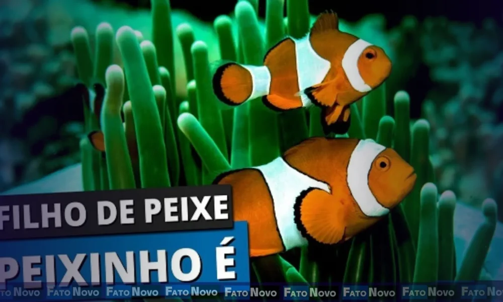 Será que a ciência concorda com eles?