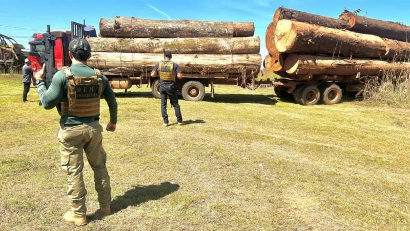 Bando incendeia ponte e jogam caminhão contra policiais para impedir apreensão de madeira ilegal