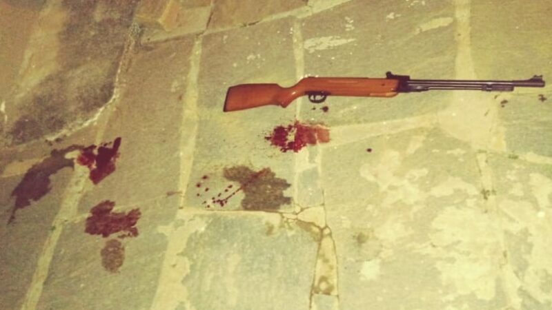 Homem é assassinado com tiro de espingarda pelo próprio irmão durante bebedeira em MT