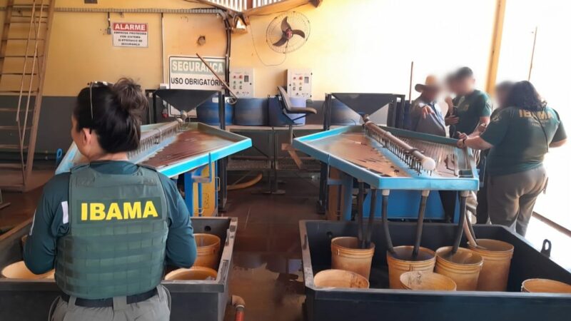 Ibama multa garimpeiros em R$ 20 milhões por uso irregular de mercúrio em MT