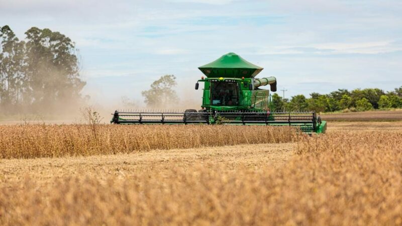 Mato Grosso consolida protagonismo na produção mundial de grãos e fibras