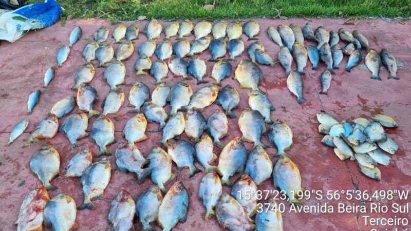 Motorista bêbado é preso pela PM com pescado irregular e multado em R$ 38 mil em Cuiabá