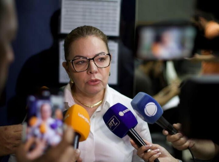 “Não é um período de inatividade”, diz presidente ao defender recesso parlamentar de julho