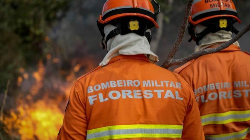 Uso do fogo em área do Pantanal está proibido a partir deste domingo (1º)