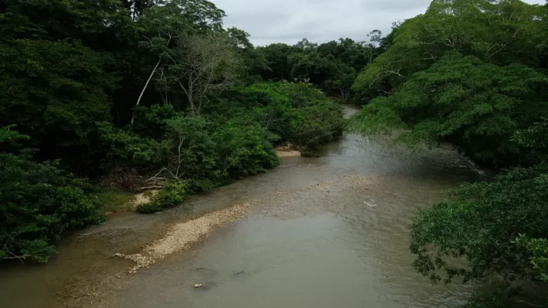 Corpo de Bombeiros segue buscas por mulher que sumiu no rio Coxipó após salvar criança