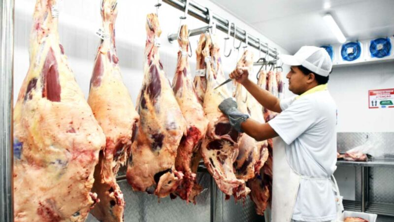 Tarifaço estremece a relação do agro de MS com os Bolsonaro