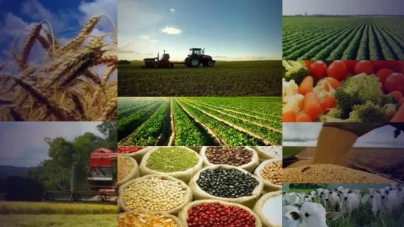 Brasil supera 400 novos mercados internacionais abertos desde 2023