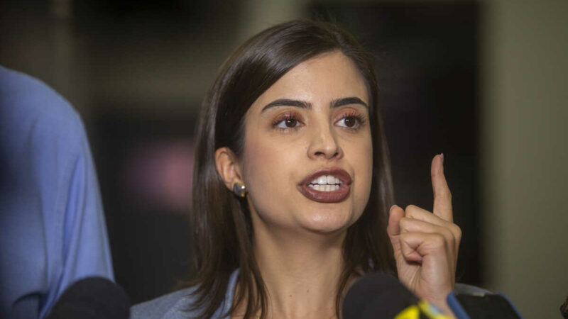 Deputada Tabata Amaral apresenta Plano Nacional de Educação em seminário na Assembleia Legislativa