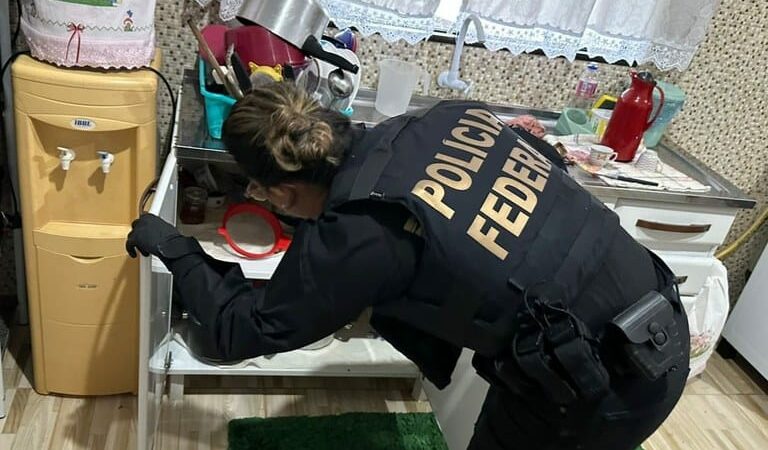 PF combate armazenamento de imagens de abuso sexual infantojuvenil em Mato Grosso