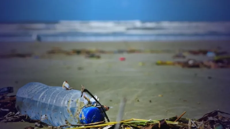 Pescadores e catadores retiram 45 toneladas de resíduos em baías do RJ